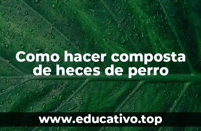 Como hacer composta de heces de perro