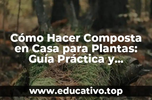 Cómo Hacer Composta en Casa para Plantas: Guía Práctica y Sostenible