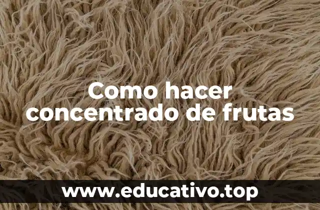 Como hacer concentrado de frutas