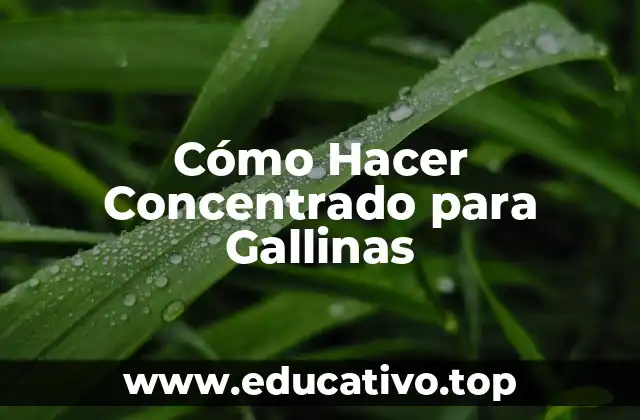 Cómo Hacer Concentrado para Gallinas