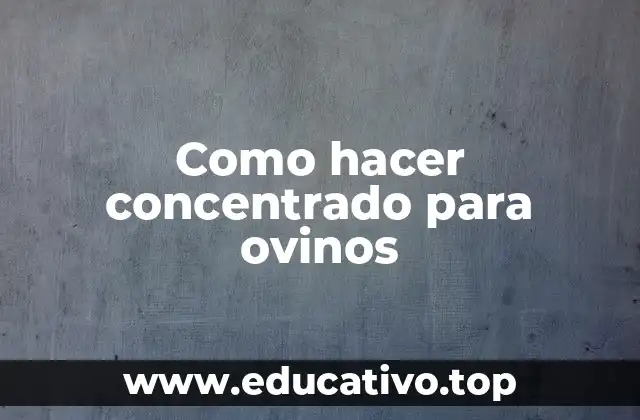 Como hacer concentrado para ovinos