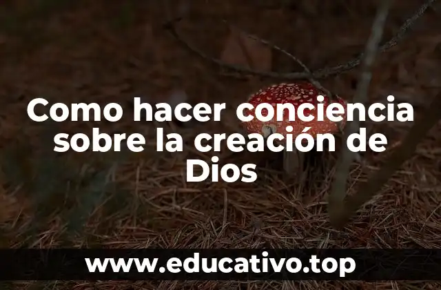 Como hacer conciencia sobre la creación de Dios