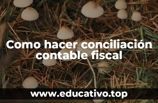 Como hacer conciliación contable fiscal