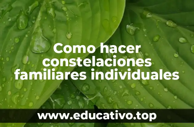 Como hacer constelaciones familiares individuales