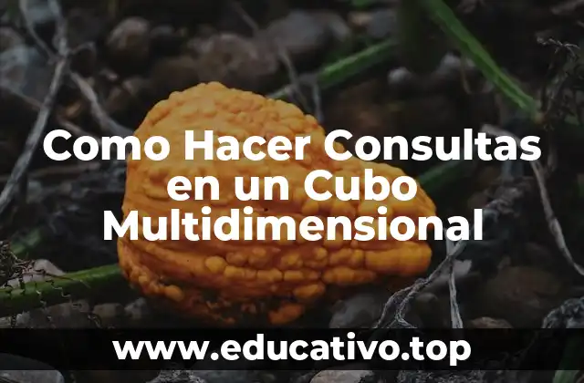 Como Hacer Consultas en un Cubo Multidimensional