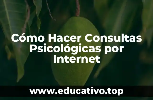 Cómo Hacer Consultas Psicológicas por Internet