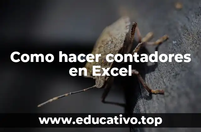 Como hacer contadores en Excel