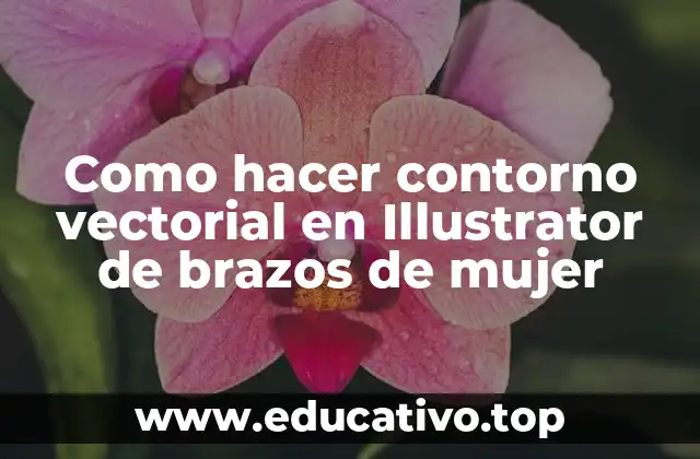 Como hacer contorno vectorial en Illustrator de brazos de mujer