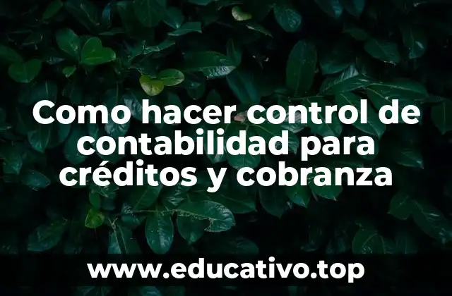 Como hacer control de contabilidad para créditos y cobranza