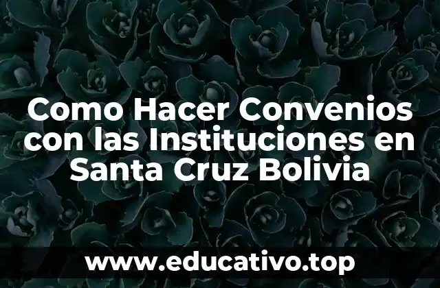 Como Hacer Convenios con las Instituciones en Santa Cruz Bolivia