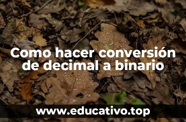 Como hacer conversión de decimal a binario