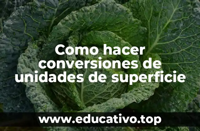 Como hacer conversiones de unidades de superficie