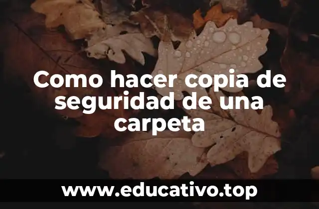 Como hacer copia de seguridad de una carpeta