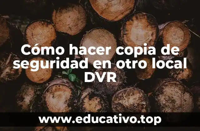 Cómo hacer copia de seguridad en otro local DVR
