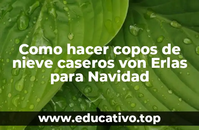 Como hacer copos de nieve caseros von Erlas para Navidad