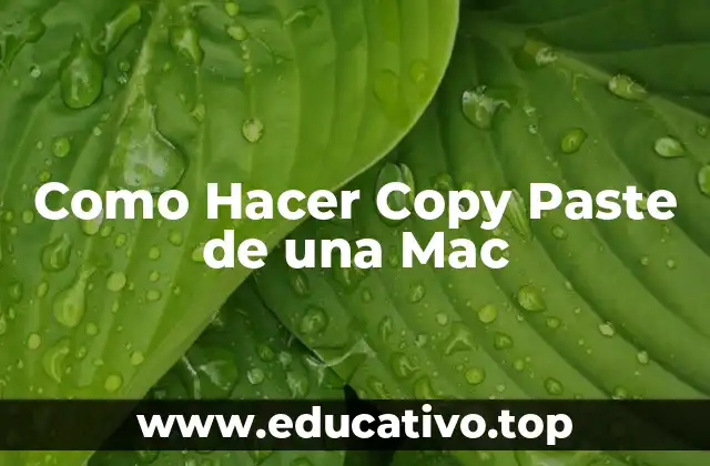 Como Hacer Copy Paste de una Mac
