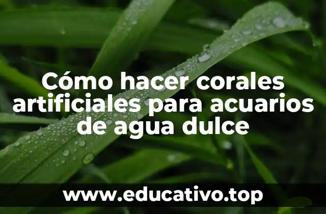 Cómo hacer corales artificiales para acuarios de agua dulce