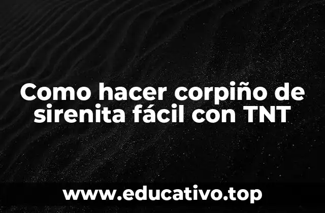 Como hacer corpiño de sirenita fácil con TNT