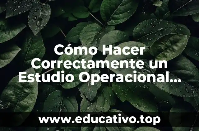 Cómo Hacer Correctamente un Estudio Operacional para un Negocio