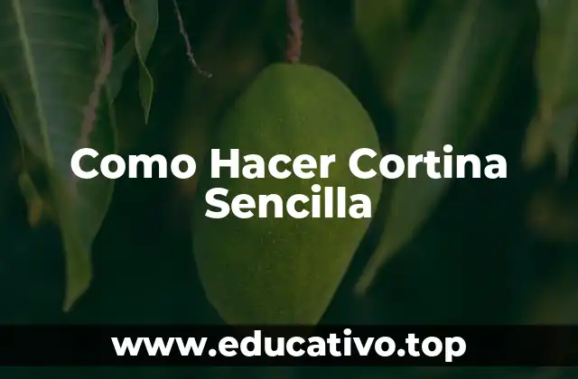 Como Hacer Cortina Sencilla
