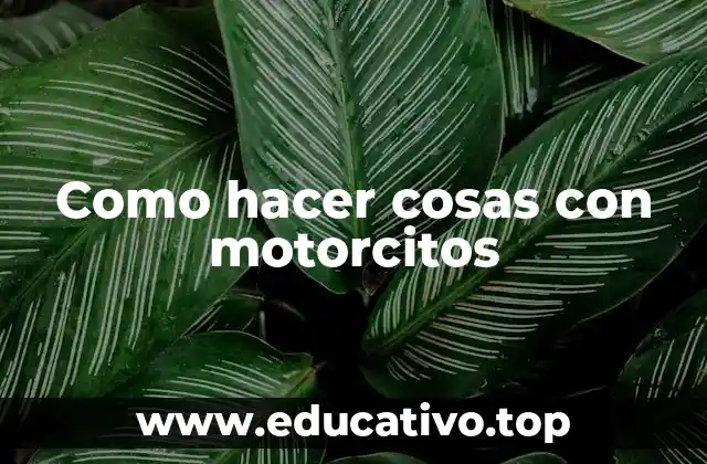 Como hacer cosas con motorcitos