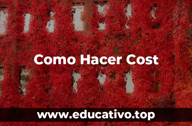 Como Hacer Cost