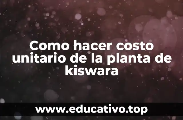 Como hacer costo unitario de la planta de kiswara