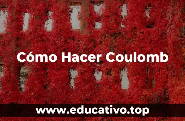 Cómo Hacer Coulomb