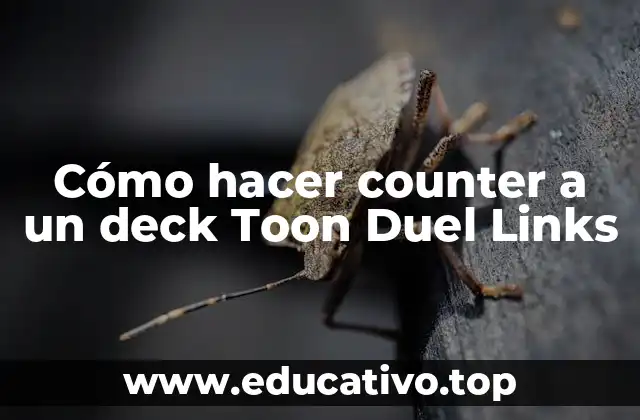 Cómo hacer counter a un deck Toon Duel Links