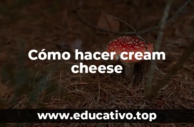 Cómo hacer cream cheese