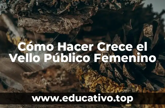 Cómo Hacer Crece el Vello Público Femenino