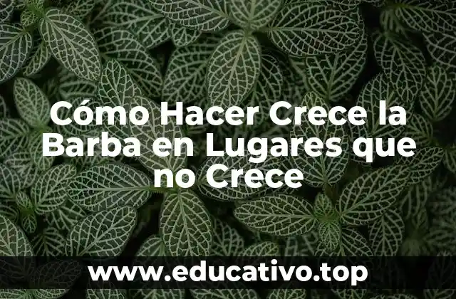 Cómo Hacer Crece la Barba en Lugares que no Crece