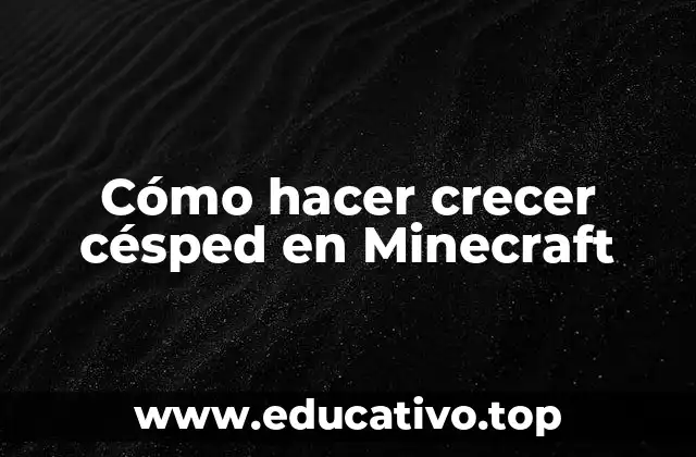 Cómo hacer crecer césped en Minecraft