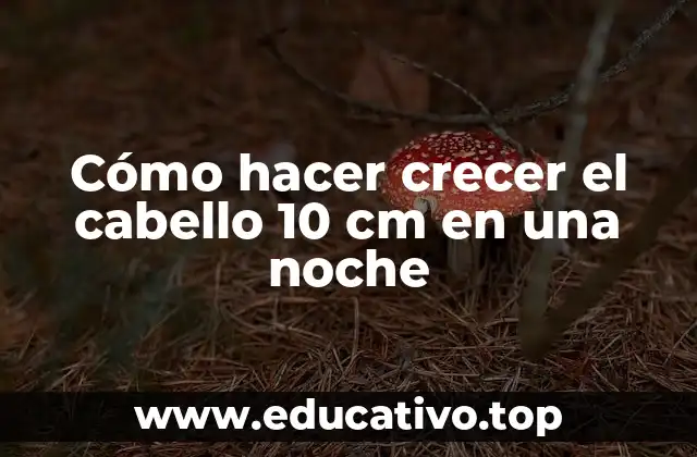 Cómo hacer crecer el cabello 10 cm en una noche