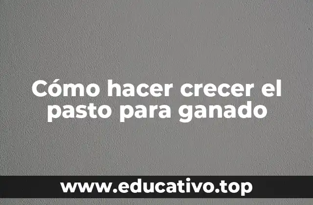 Cómo hacer crecer el pasto para ganado