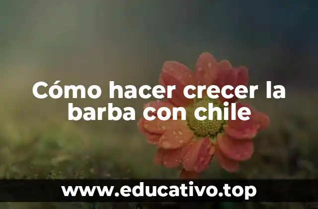 Cómo hacer crecer la barba con chile