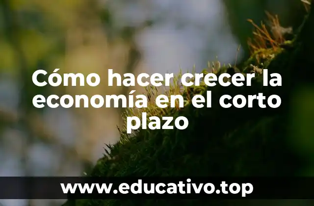 Cómo hacer crecer la economía en el corto plazo
