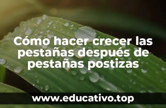 Cómo hacer crecer las pestañas después de pestañas postizas