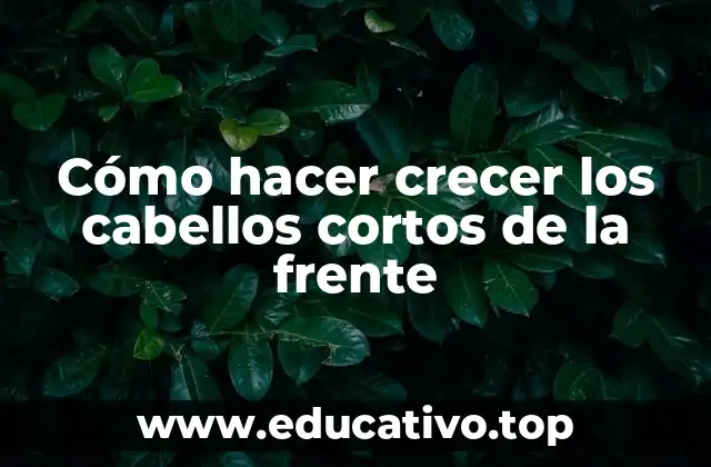 Cómo hacer crecer los cabellos cortos de la frente
