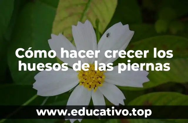 Cómo hacer crecer los huesos de las piernas