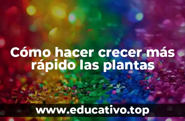 Cómo hacer crecer más rápido las plantas