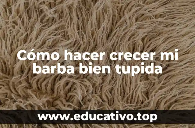 Cómo hacer crecer mi barba bien tupida