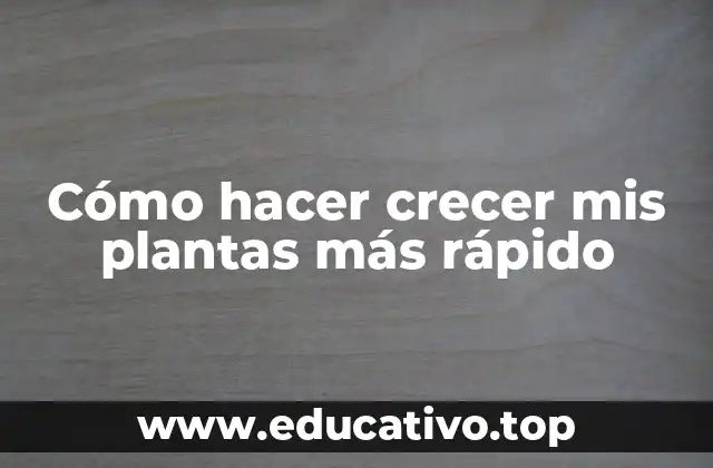 Cómo hacer crecer mis plantas más rápido