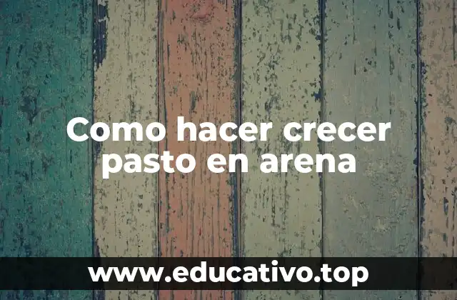 Como hacer crecer pasto en arena