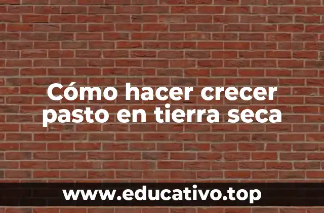 Cómo hacer crecer pasto en tierra seca
