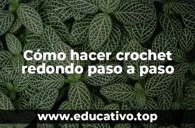 Cómo hacer crochet redondo paso a paso