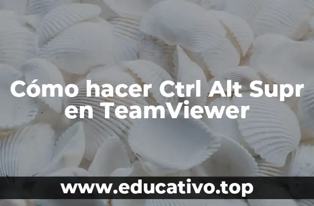 Cómo hacer Ctrl Alt Supr en TeamViewer