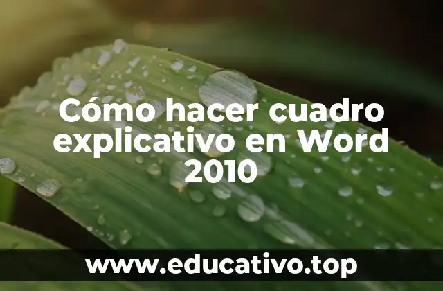 Cómo hacer cuadro explicativo en Word 2010