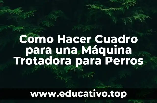 Como Hacer Cuadro para una Máquina Trotadora para Perros
