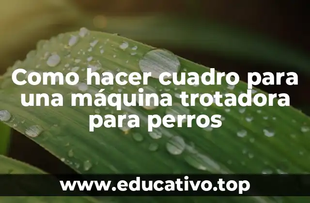 Como hacer cuadro para una máquina trotadora para perros